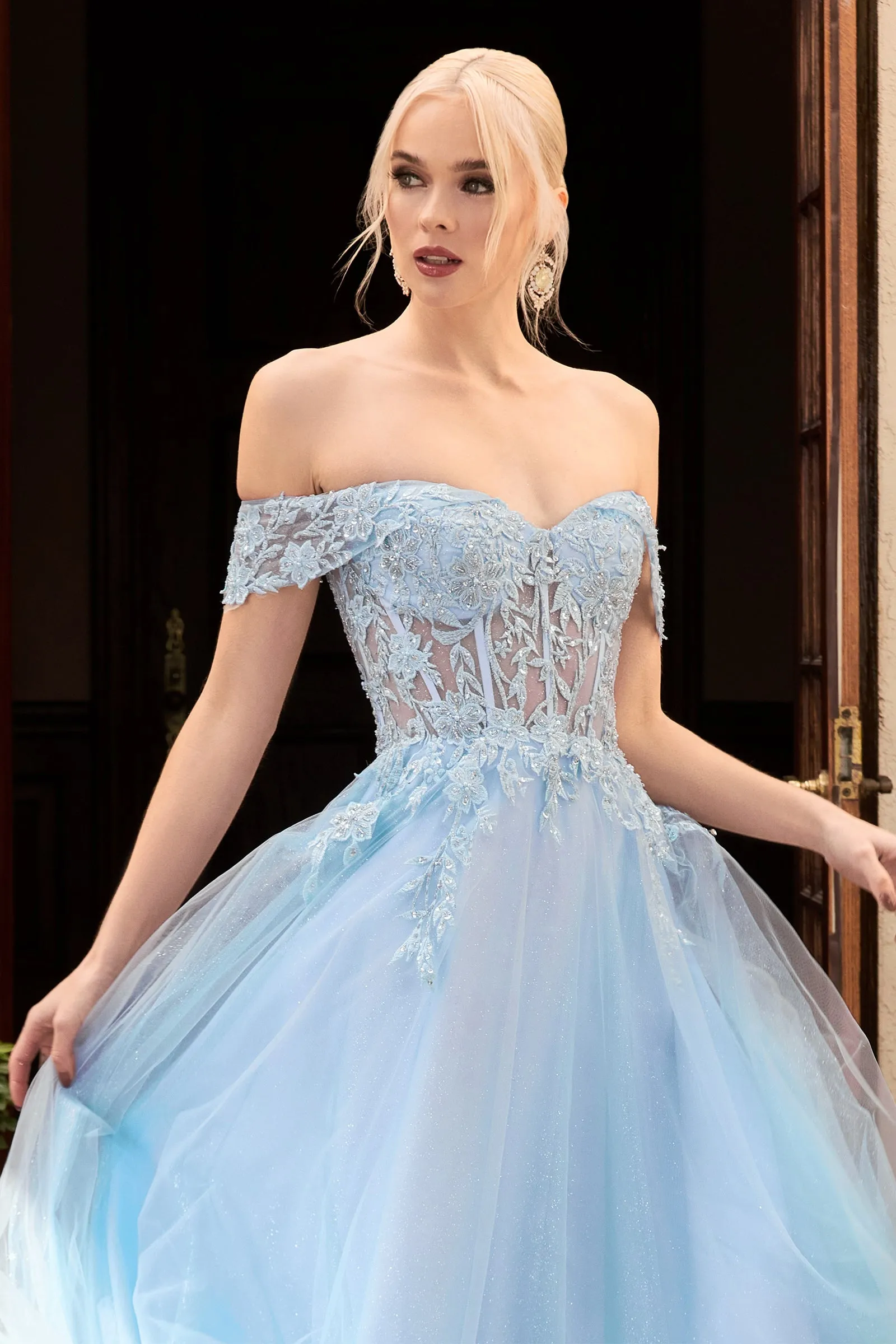 Cinderella Evening Dress CD961