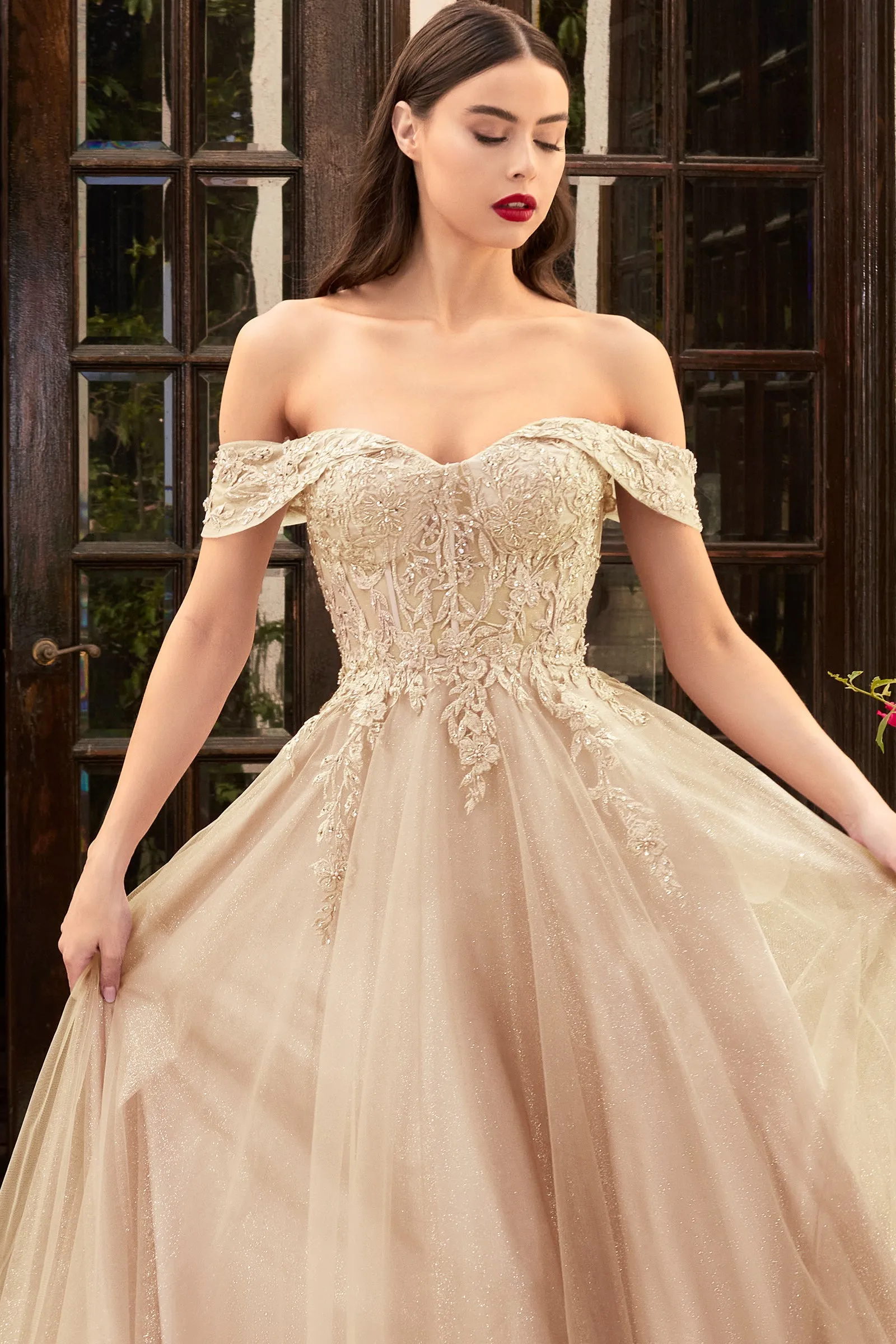 Cinderella Evening Dress CD961