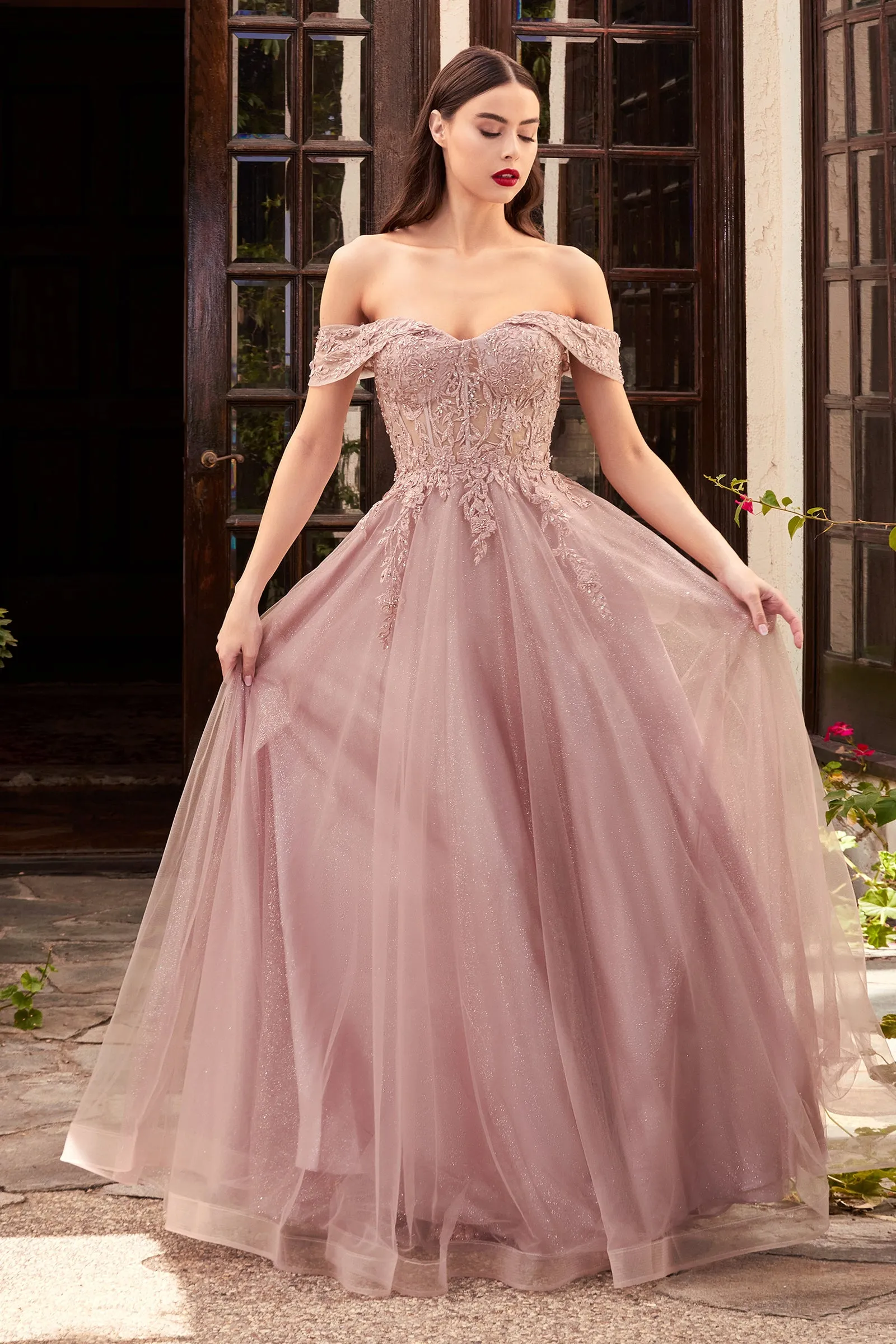 Cinderella Evening Dress CD961