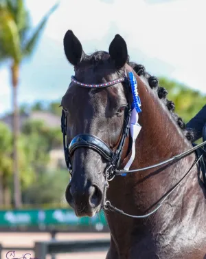 Curated Mix & Match Sizes Wide Patent Noseband Weymouth Bridle with flat or rolled cheeks  by Bridle2Fit