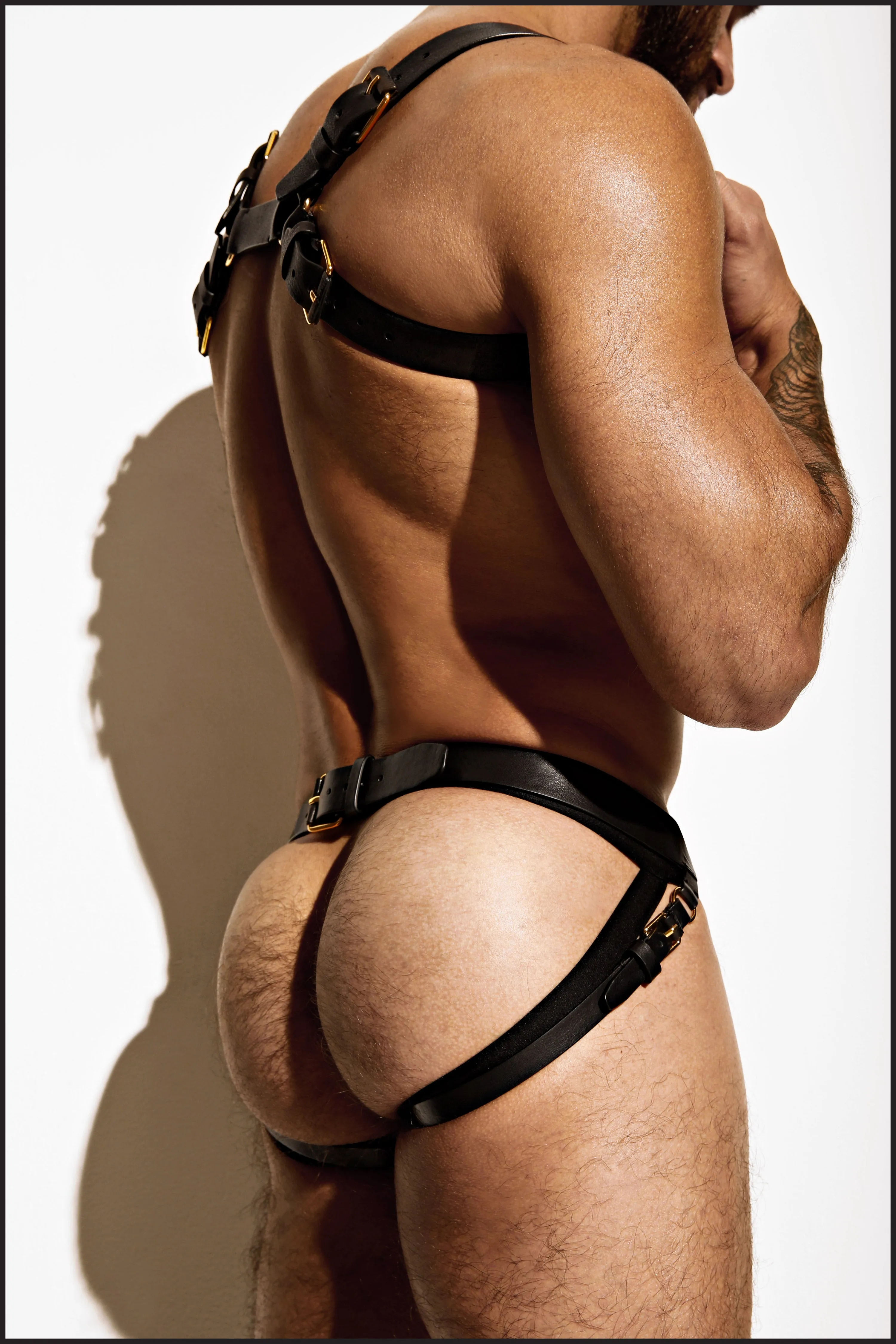 Double Grecian Harness