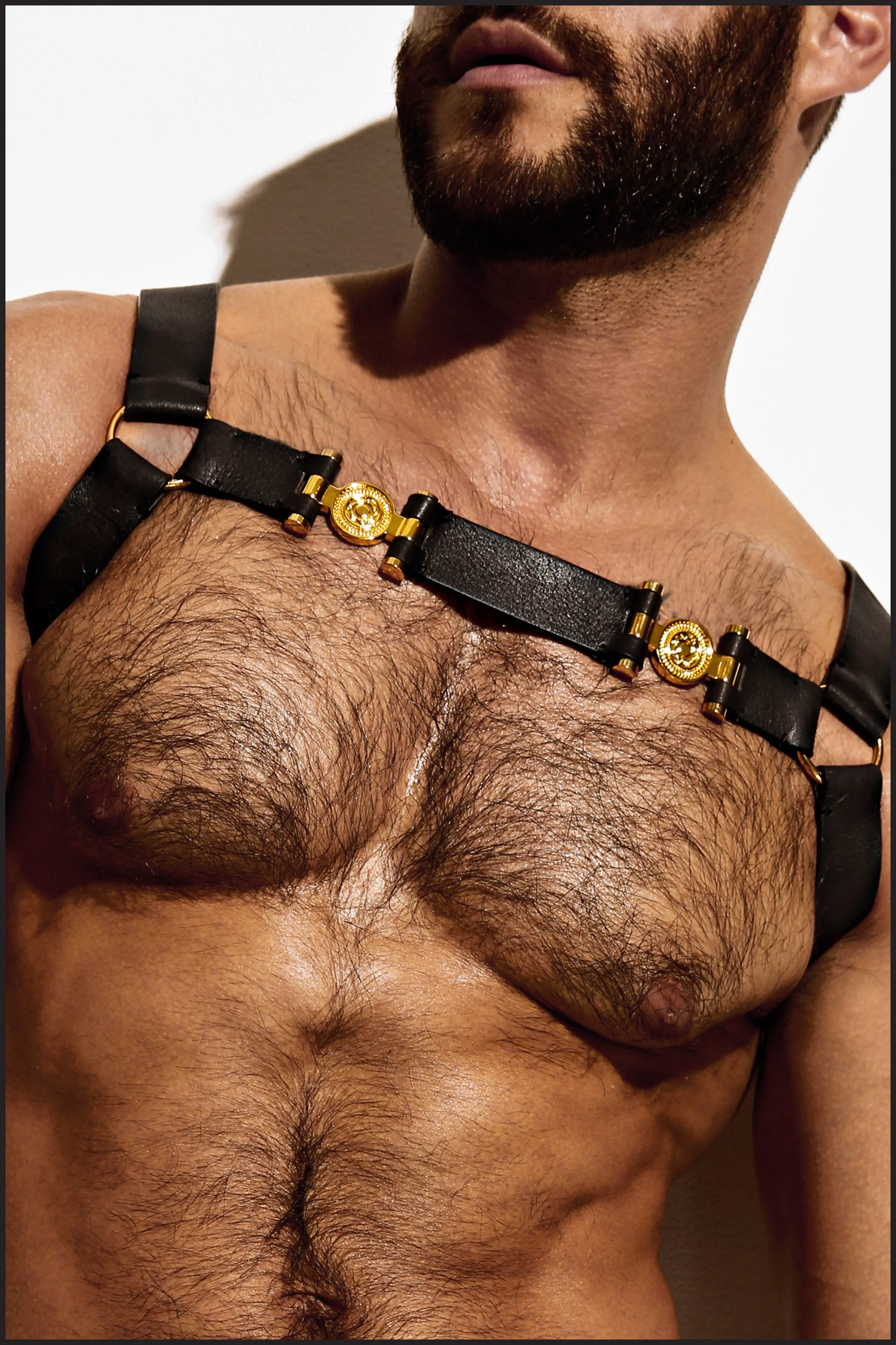 Double Grecian Harness