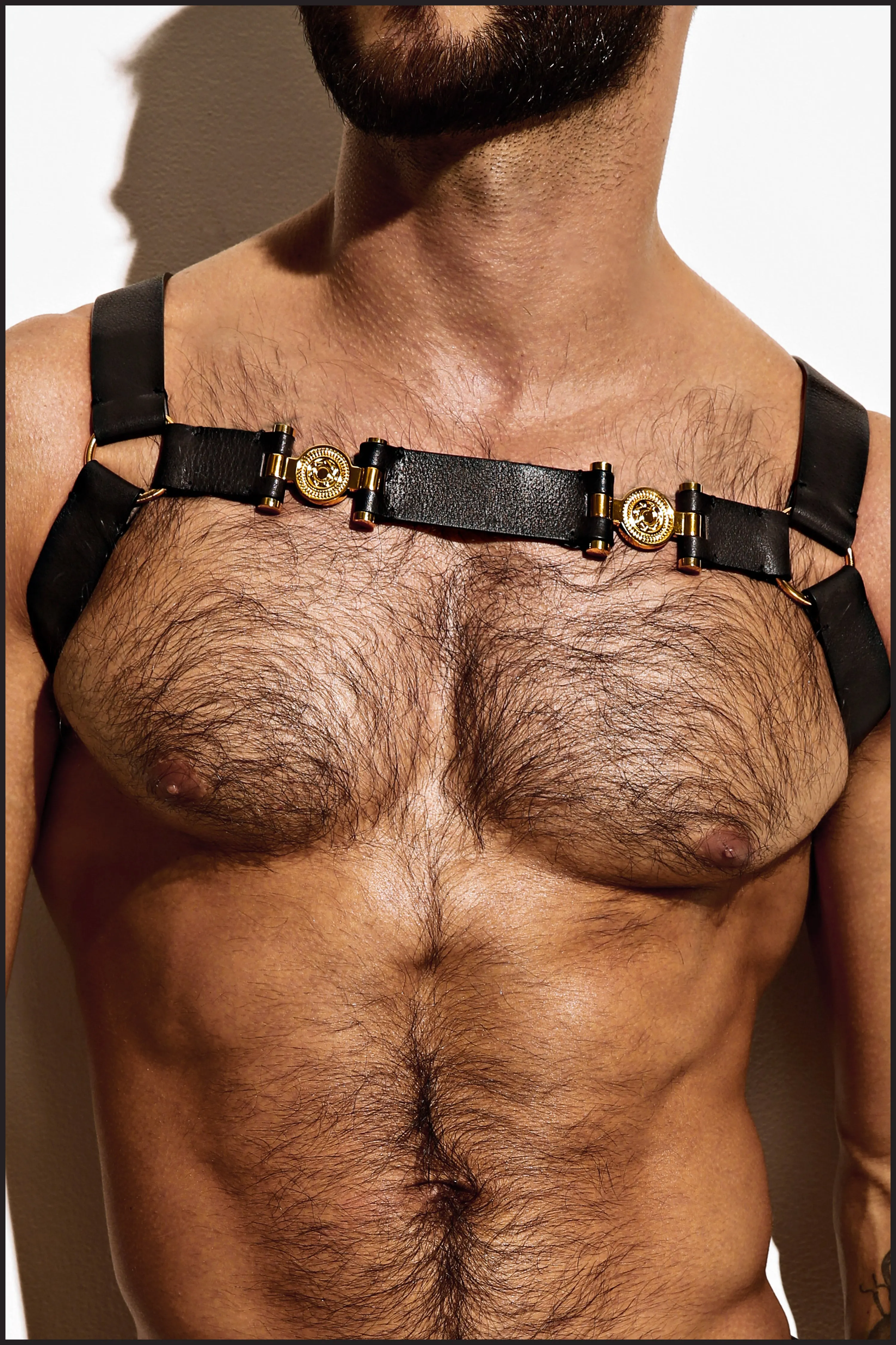Double Grecian Harness