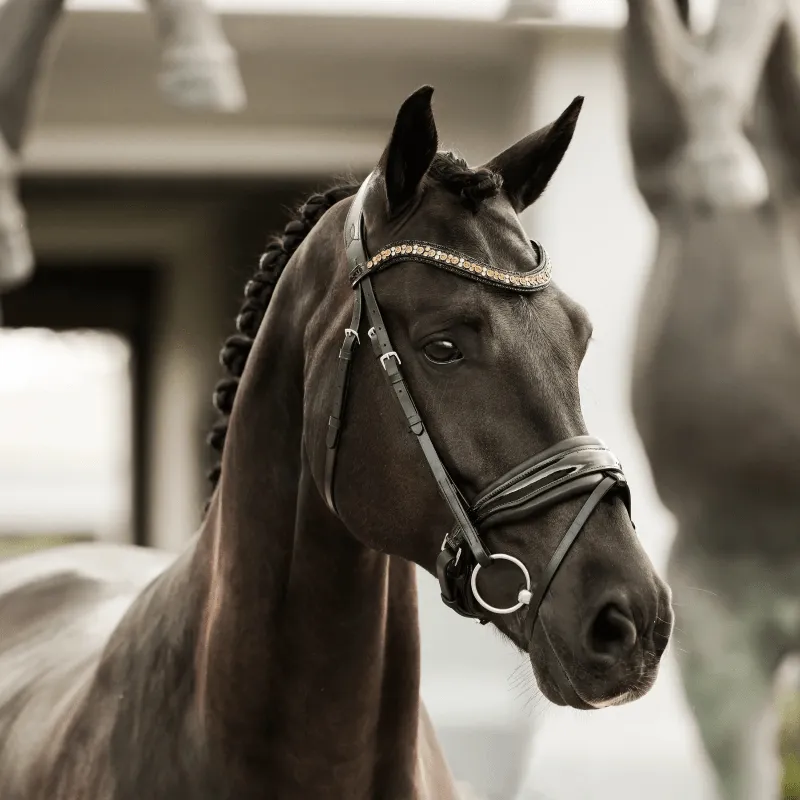 Lumiere Bridle Ariana