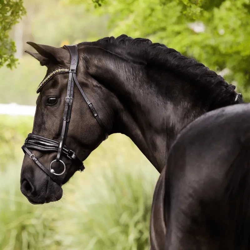 Lumiere Bridle Ariana