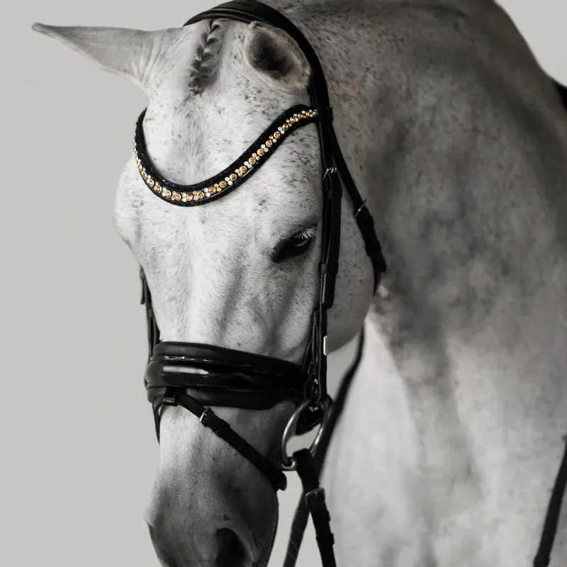 Lumiere Bridle Ariana