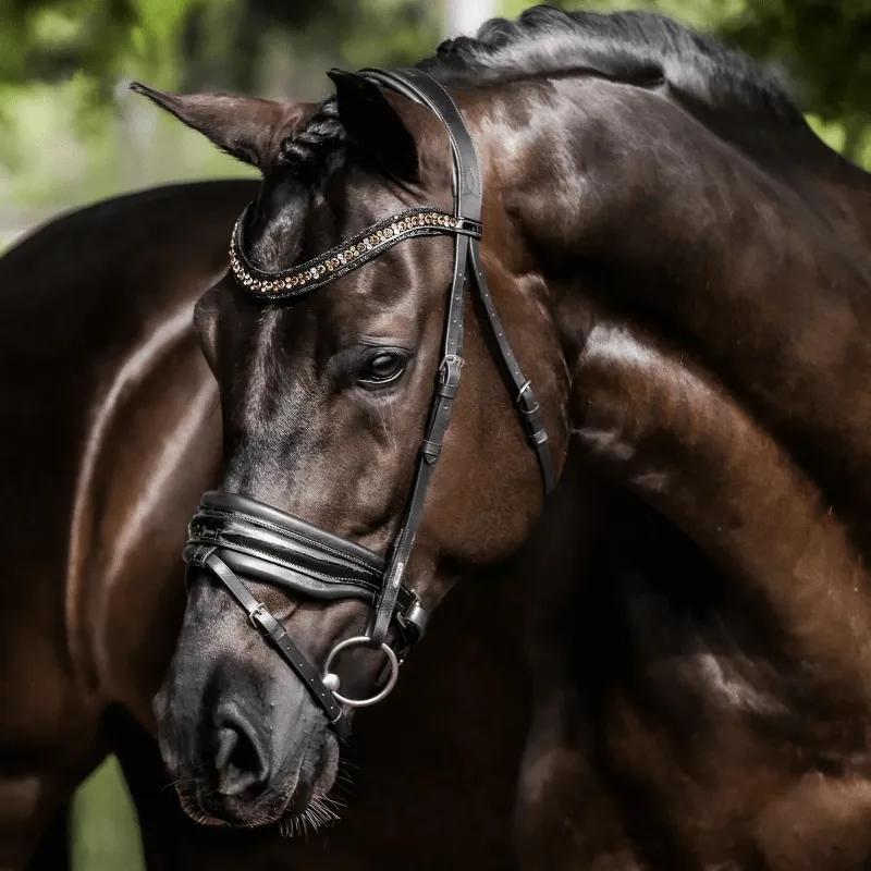 Lumiere Bridle Ariana