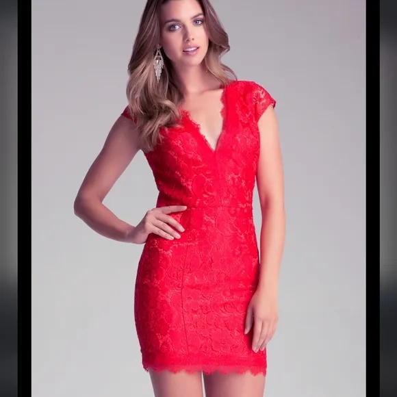 NWT Bebe Lace Dress