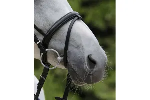 Passier Exchangeable Flash Noseband