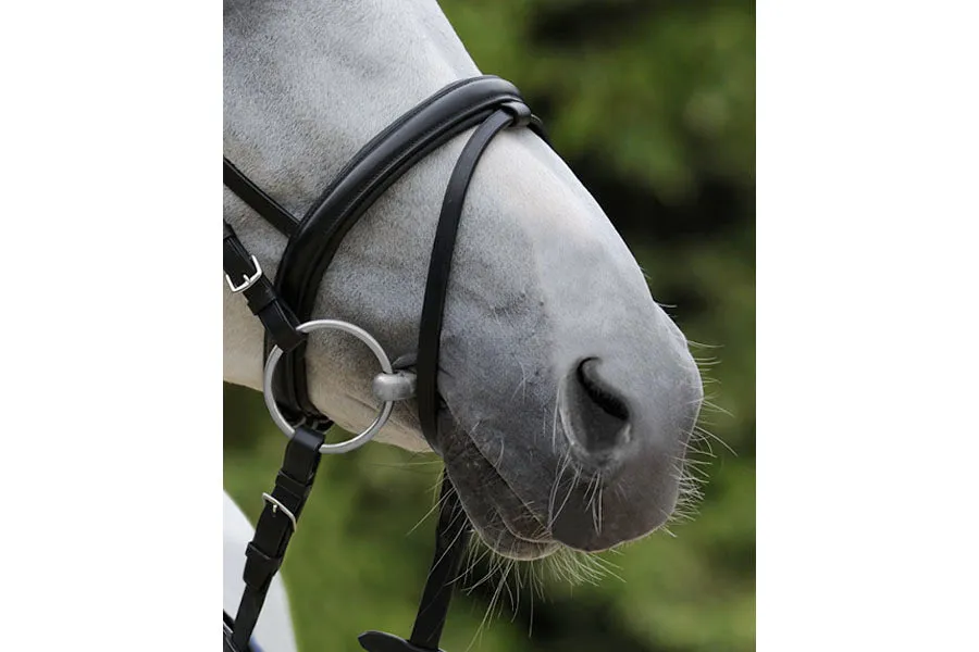 Passier Exchangeable Flash Noseband
