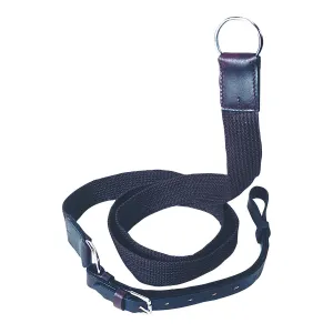 Webbing Surcingle Brown